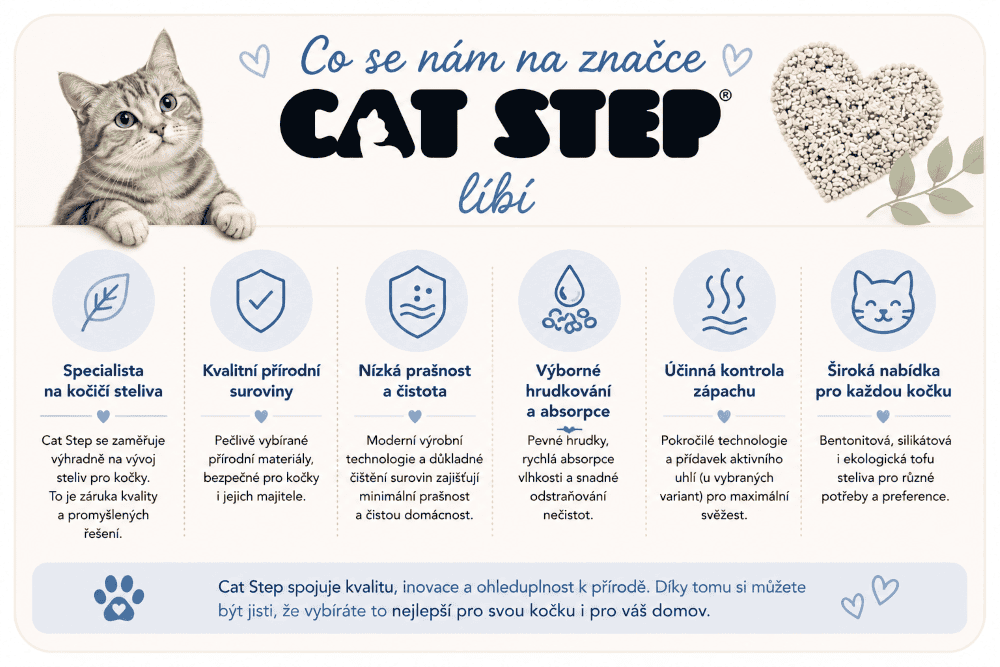 Proč si oblíbíte Cat Step